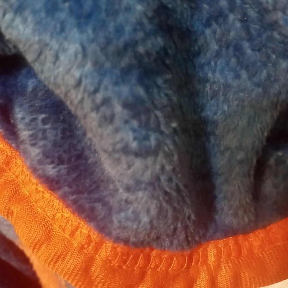 University of Florida Gators 70